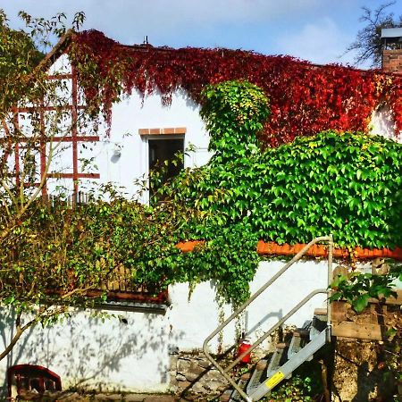 Zeitraum Fewo Apartment Bad Wildungen Exterior photo